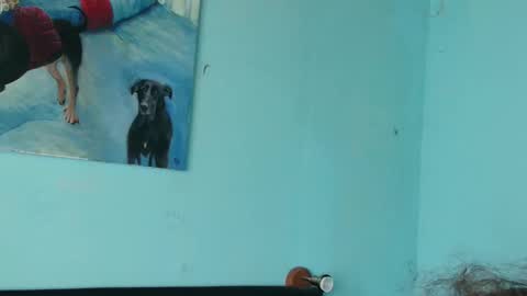 Snapshot of prxscillia_tx chatting on November 6, 1:45 pm prxscillia_tx online show from November 6, 1:45 pm