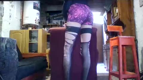 Snapshot of psasa5560 chatting on February 24, 6:47 pm Ar Lily online show from February 24, 6:47 pm