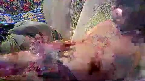 psytube online show from December 14, 9:41 pm