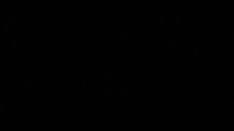 Snapshot of pt5177 chatting on December 10, 2:48 am runnerbod55 online show from December 10, 2:48 am