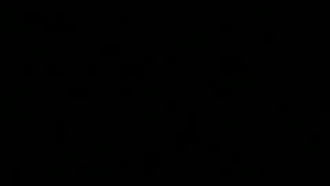 Snapshot of pt5177 chatting on December 31, 4:38 am runnerbod55 online show from December 31, 4:38 am