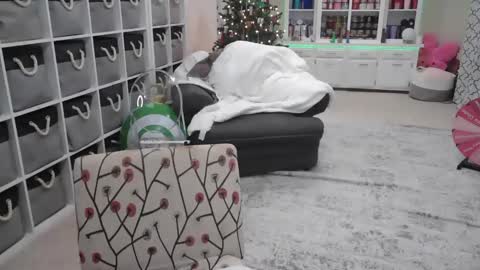 Snapshot of pugglelover chatting on December 14, 11:01 pm Puggie - online show from December 14, 11:01 pm