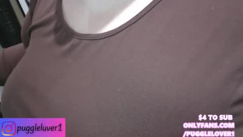 Snapshot of pugglelover chatting on February 1, 11:58 pm Puggie - online show from February 1, 11:58 pm