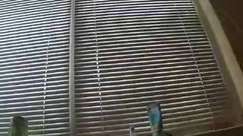 Snapshot of puls920 chatting on July 7, 3:31 am puls920 online show from July 7, 3:31 am