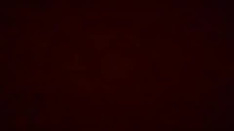 Snapshot of pumpkin_bunny chatting on December 19, 12:28 am Pumpkin bunny online show from December 19, 12:28 am