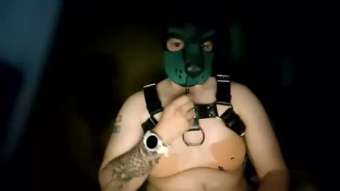 Snapshot of pup_kori chatting on June 8, 6:14 am Pup Kori online show from June 8, 6:14 am