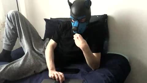 Toby online show from November 20, 2:17 pm