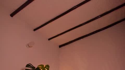 Snapshot of purple_opal chatting on February 9, 10:11 pm Vero online from Tuesday to Sunday online show from February 9, 10:11 pm