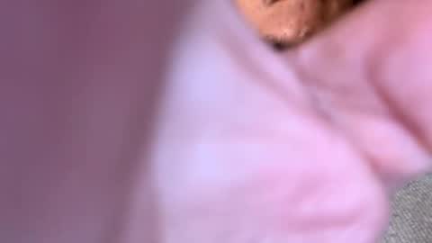 pussyeats1993 online show from February 18, 9:42 pm