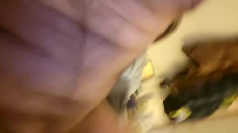 pussylike696969 online show from December 6, 9:21 am