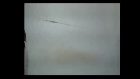 Snapshot of pussyxwetx chatting on February 4, 8:14 pm pussyxwetx online show from February 4, 8:14 pm