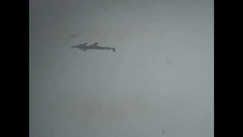 Snapshot of pussyxwetx chatting on February 27, 5:02 pm pussyxwetx online show from February 27, 5:02 pm