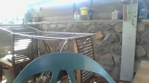 Snapshot of python974 chatting on November 29, 4:04 am Python online show from November 29, 4:04 am