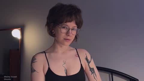    online show from November 11, 3:23 pm