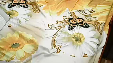 Snapshot of queen_ava05 chatting on July 2, 7:20 pm queen_ava05 online show from July 2, 7:20 pm