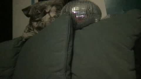 Snapshot of queendelaranch chatting on September 20, 7:04 pm Queen De La Ranch online show from September 20, 7:04 pm