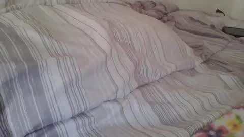 queenlavish online show from November 14, 2:49 pm