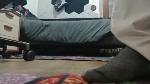 Snapshot of raccon68 chatting on December 20, 7:32 pm Raccoon68 online show from December 20, 7:32 pm