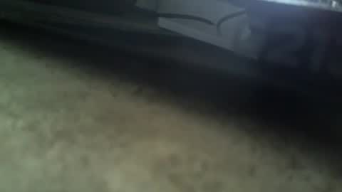 Snapshot of radeon06 chatting on January 5, 12:10 pm Radeon06french online show from January 5, 12:10 pm