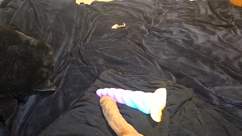 raerae02 online show from May 6, 11:37 am