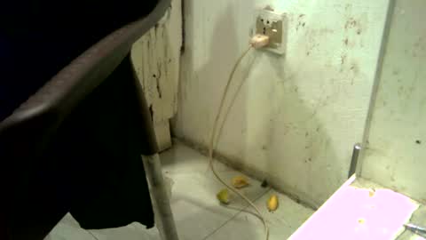 Snapshot of rakulgee111 chatting on July 7, 6:47 am rakulgee111 online show from July 7, 6:47 am