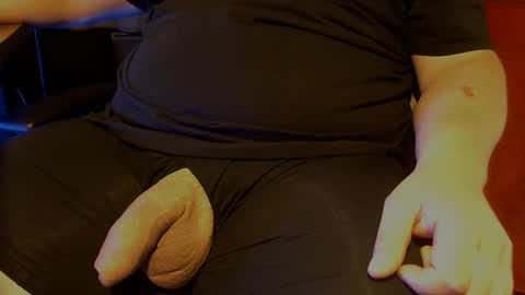 Raptor online show from November 9, 12:25 pm