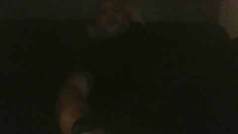 Snapshot of rapzerr chatting on September 16, 3:29 am rapzerr online show from September 16, 3:29 am