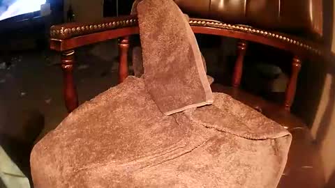 rarvet online show from March 19, 3:16 pm