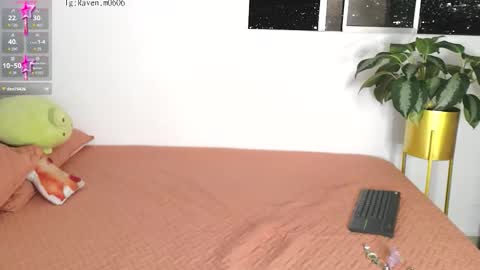 Snapshot of raven06_ chatting on November 4, 12:10 am Raven online show from November 4, 12:10 am