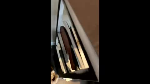 ravenxbeastie online show from February 17, 8:58 pm