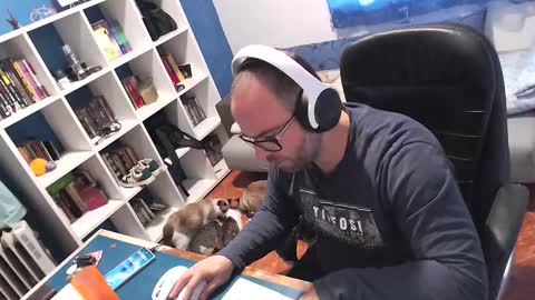 ravingr3d3 online show from November 11, 9:20 am