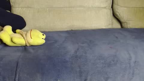 Ray  online show from March 14, 10:53 am