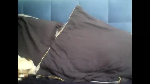 rayday_ online show from March 9, 2:10 pm