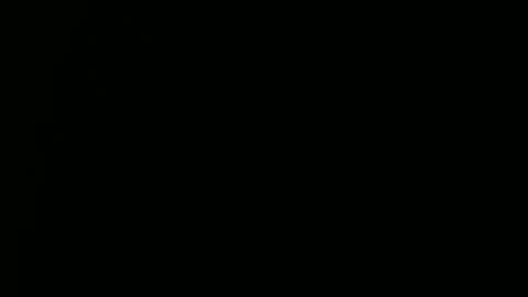 Ray online show from December 29, 3:57 pm