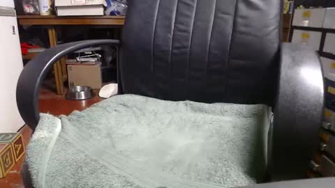 Ray online show from December 31, 12:11 am