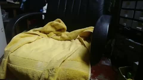 Ray online show from November 24, 12:27 pm