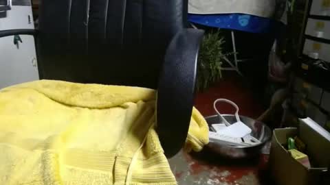 Ray online show from November 27, 1:07 am