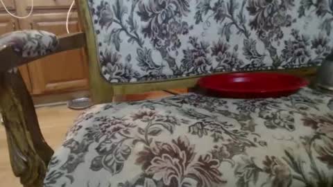 Ray online show from February 1, 5:50 am