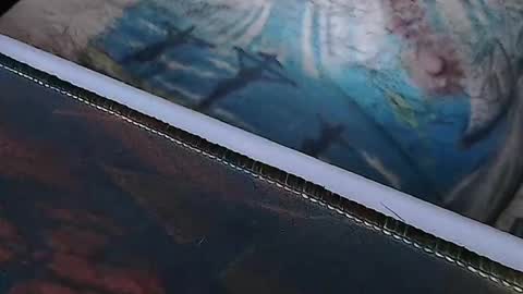 realrubpirate online show from April 1, 8:04 am