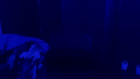 Snapshot of record_no_no chatting on February 2, 2:27 am DMCA online show from February 2, 2:27 am