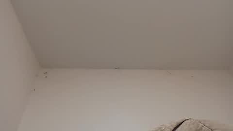 Snapshot of rednicedick chatting on January 22, 6:42 am rednicedick online show from January 22, 6:42 am