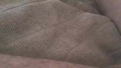 redwhiteblue_24 online show from April 23, 10:45 pm