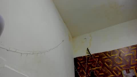 Snapshot of reed_kitty chatting on December 15, 12:42 pm reed_kitty online show from December 15, 12:42 pm