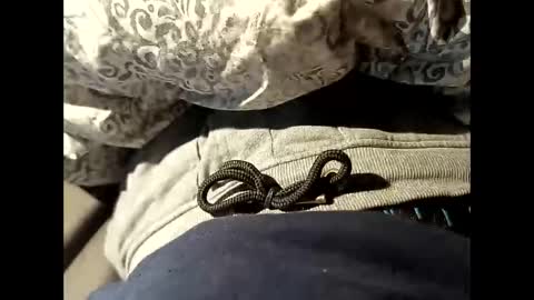 Snapshot of reedy123456789 chatting on October 22, 9:20 am reedy123456789 online show from October 22, 9:20 am