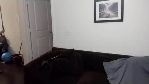 Snapshot of reelfreaky chatting on September 21, 8:38 am shy online show from September 21, 8:38 am