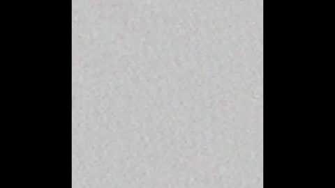 rennuts online show from February 21, 8:07 am