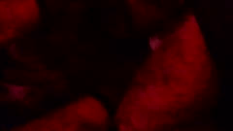 Snapshot of renuetto chatting on October 13, 5:40 am renuetto online show from October 13, 5:40 am