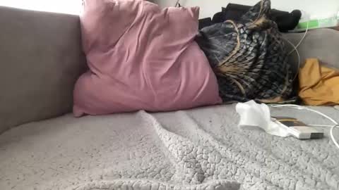 Snapshot of reyna77 chatting on January 22, 9:46 am reyna77 online show from January 22, 9:46 am