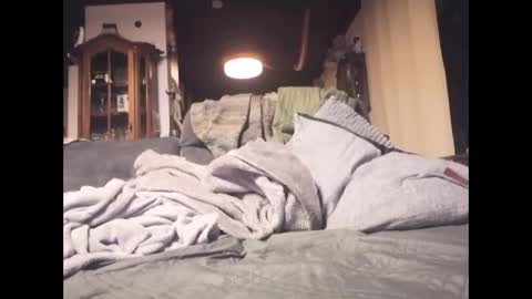 Rey online show from January 5, 9:51 pm