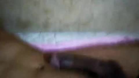 rica1234567890961640 online show from October 21, 5:19 am